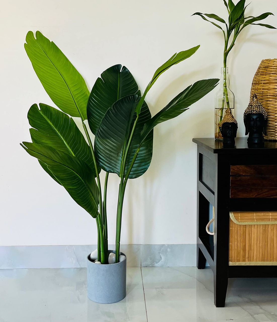 Rotating Plant